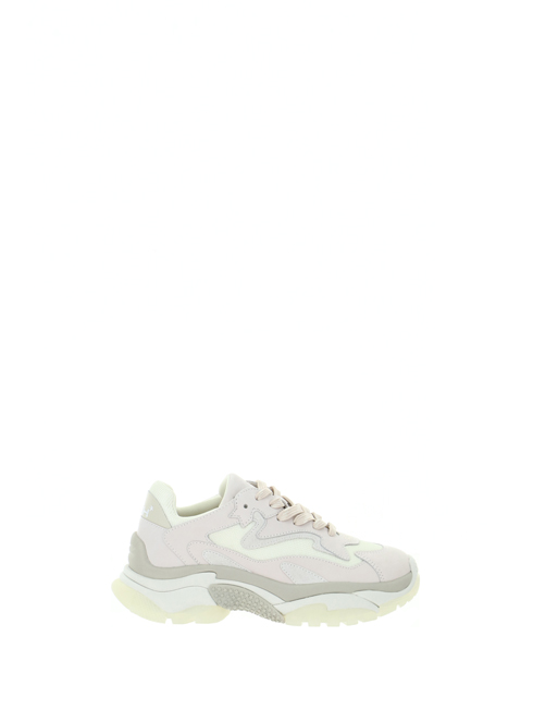 Ash addict05 scarpe donna grigio 227500193270 | Sorelle Ramonda